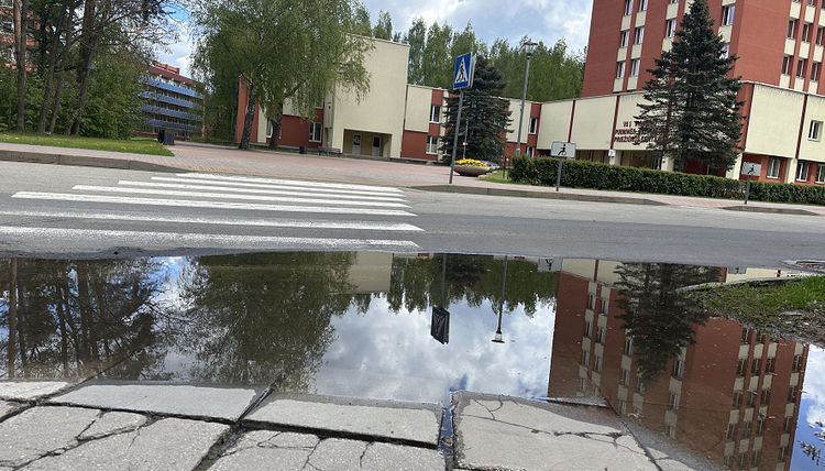 Лужа гармоничного движения