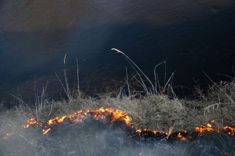 Пожарные предупреждают: не жгите прошлогоднюю траву!                                                                                                  - В Висагинасе