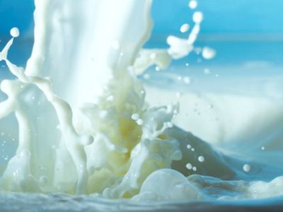 Дания вводит «налог на жир»                                 - Наука и здоровье