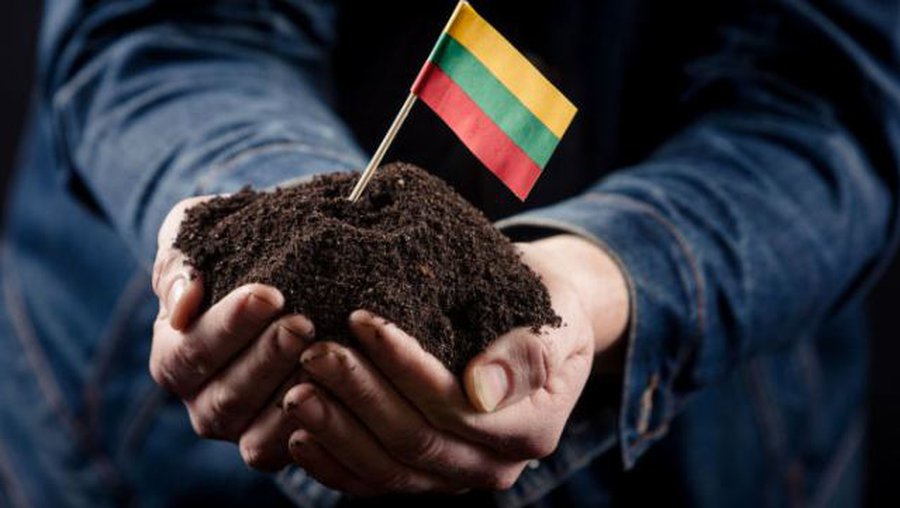 Горячая линия ТТС: «ЗА» что мы, собственно, голосуем? - В Висагинасе