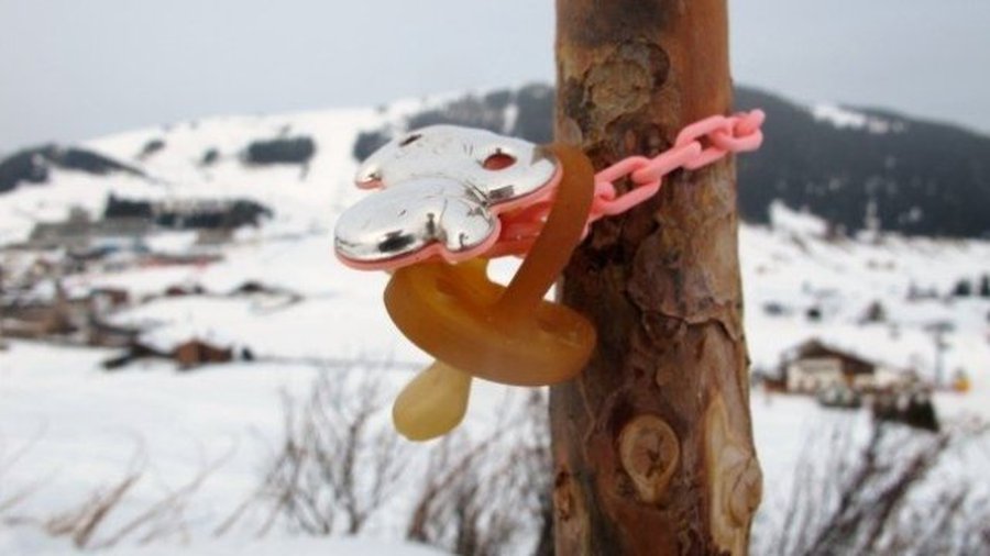 Норвежский подросток убил трехлетнего приемного брата - Происшествия и криминал