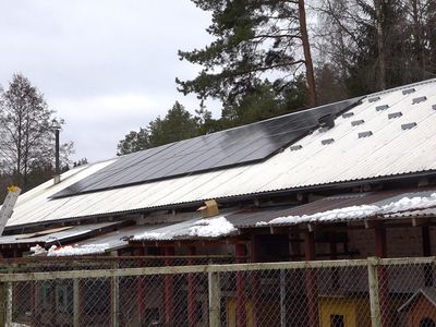 Приют для животных «Gyvūnų šansas» станет производителем собственной электроэнергии (видео) - В Висагинасе