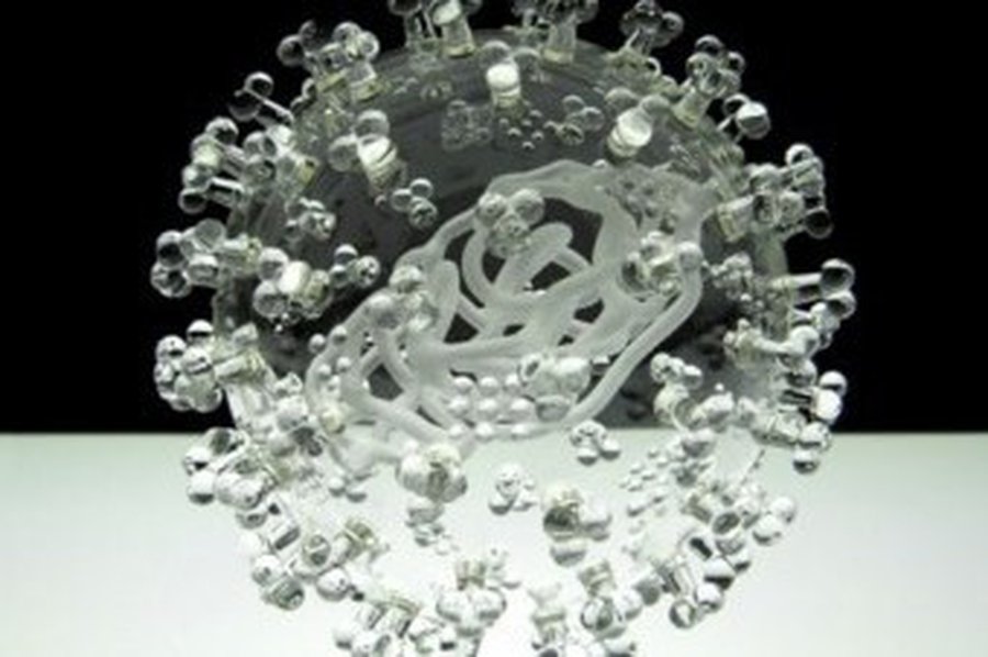 Вечно новый грипп - Наука и здоровье