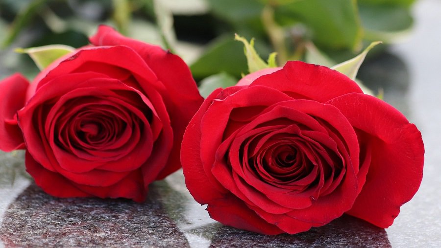 Dėkojame visiems už pagalbą ir užuojautą - Atsisveikiname