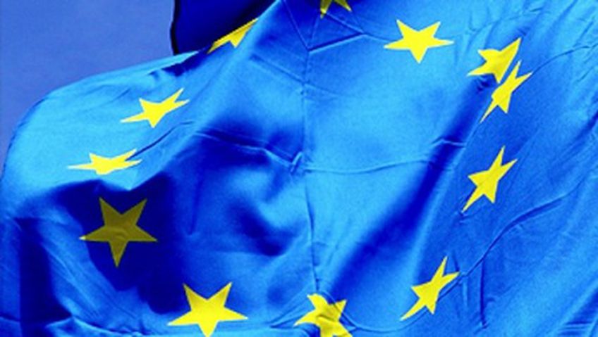 Брюссель хочет лишить Латвию, Литву и Ирландию места в Европарламенте из-за Хорватии
