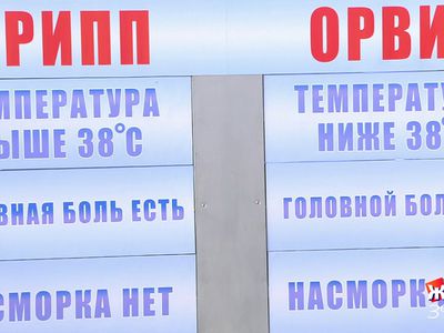 В Каунасе объявлена эпидемия гриппа - Литва и страны Балтии