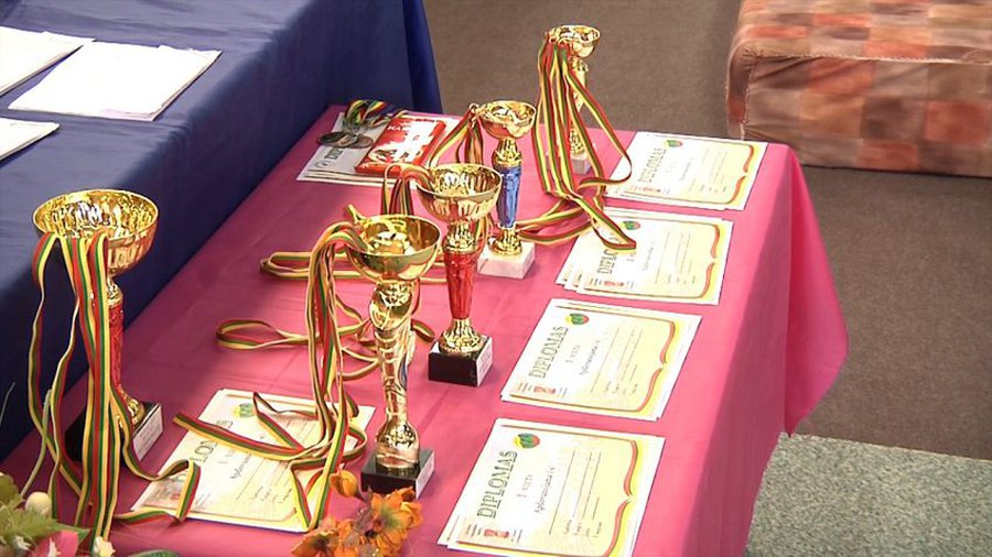 Оплата за занятия в Висагинских учреждениях неформального образования привязана к минимальной зарплате (видео) - В Висагинасе