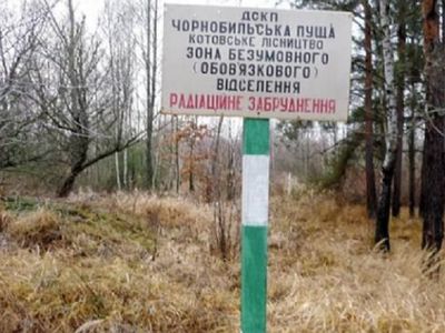 Украинские пограничники задержали в зоне отчуждения Чернобыльской АЭС четырех туристов - В Мире