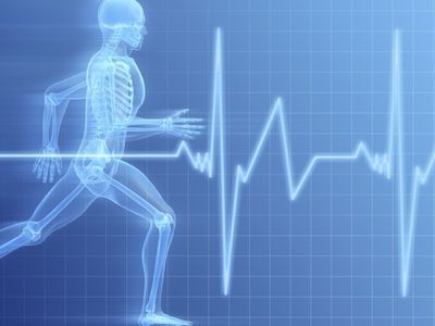 Приглашаем всех желающих приобщиться к здоровому образу жизни - В Висагинасе