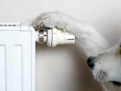 Сейм Литвы оставляет льготный тариф НДС на отопление в 9% - Литва и страны Балтии