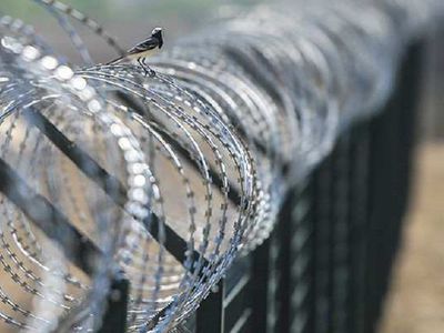 Литва от России и Беларуси огораживается забором. - Литва и страны Балтии