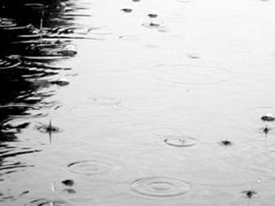 Дождевая вода безопасна для здоровья - Наука и здоровье