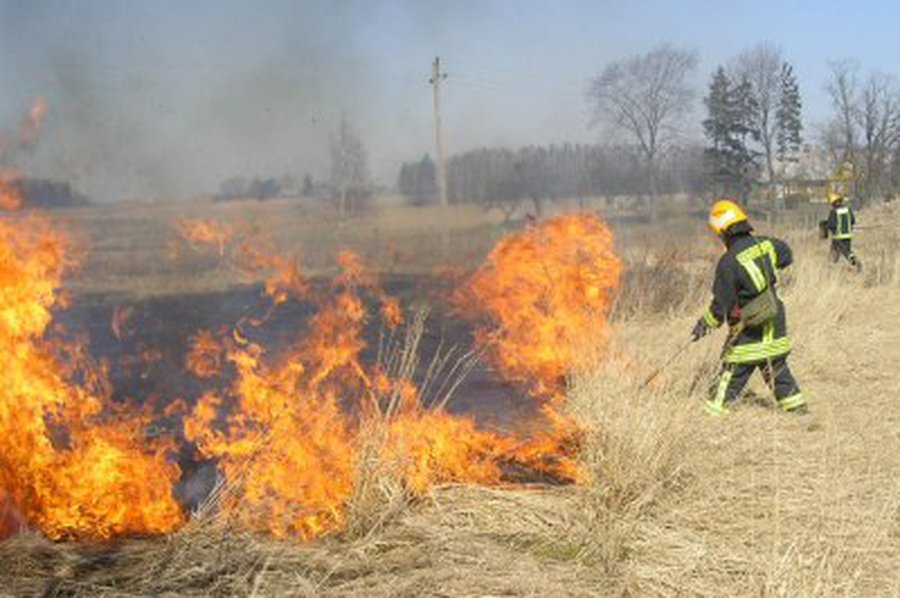 Vėl pradedama deginti pernykštė žolė                                 - Lietuva ir Baltijos šalys