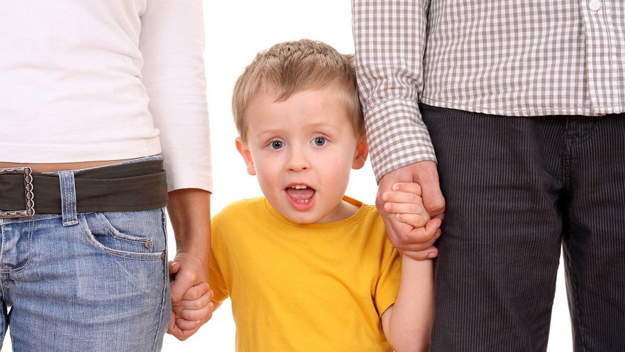 В. Пранцкетис: необходимо согласовать все предложения по Закону о защите прав ребенка - Литва и страны Балтии