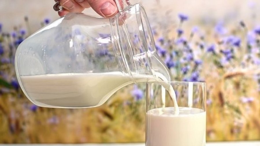 Pratęsta išimtis – smulkūs ūkiai ką tik pamelžtą pieną galės pristatyti neatšaldytą - Lietuva ir Baltijos šalys