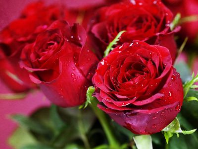 Поздравляем Константина Лободу с юбилеем! - Поздравления