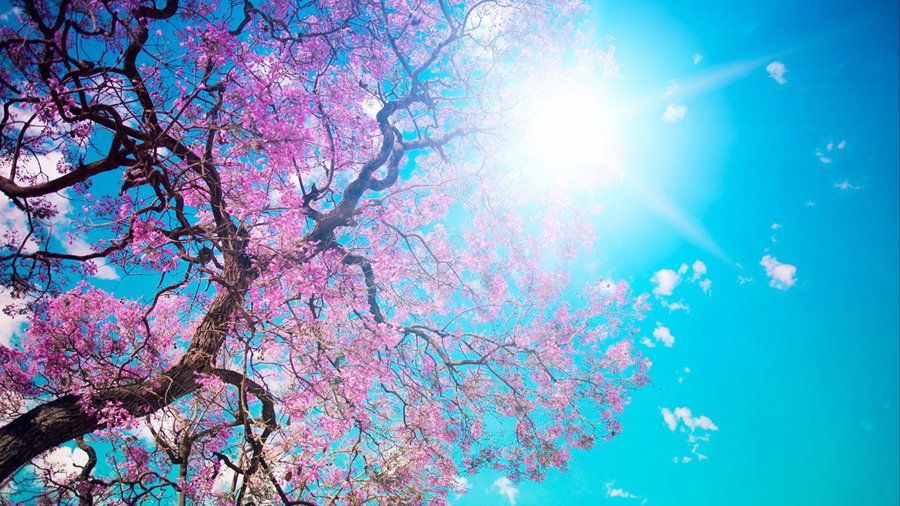 Прогноз: в Литве ясно и тепло до выходных - Литва и страны Балтии