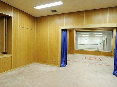 Впервые с 2010 года в Японии применили смертную казнь                                 - В Мире