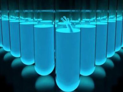 В Литве опасаются смертельного для животных эпидемии вируса из Калининграда, которого не было больше 20 лет

 - Наука и здоровье