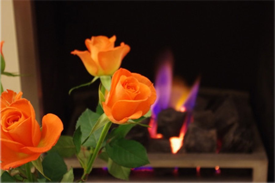 Поздравляем коллег                                                                                                                                 - В Висагинасе