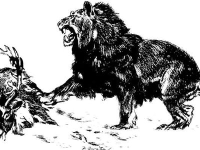 В Якутии обнаружили череп пещерного льва - Наука и здоровье