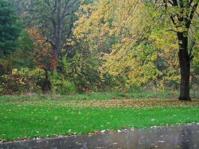 Šios savaitės orai bus permainingi - Lietuva ir Baltijos šalys
