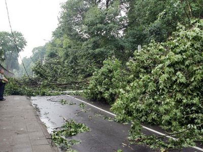 Без электричества остаются около 10 000 жителей Литвы - Литва и страны Балтии