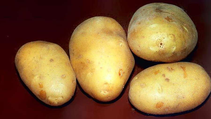 Литовские села находятся на грани исчезновения – эксперты - Литва и страны Балтии