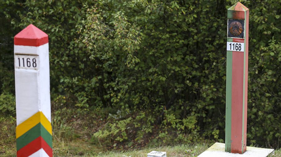 МИД: убежище в Литве законно запросили 2 мигранта - Литва и страны Балтии