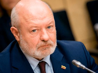 Э.Гентвилас: бизнес-структуры такие же группы интересов, как и организации инвалидов - Литва и страны Балтии