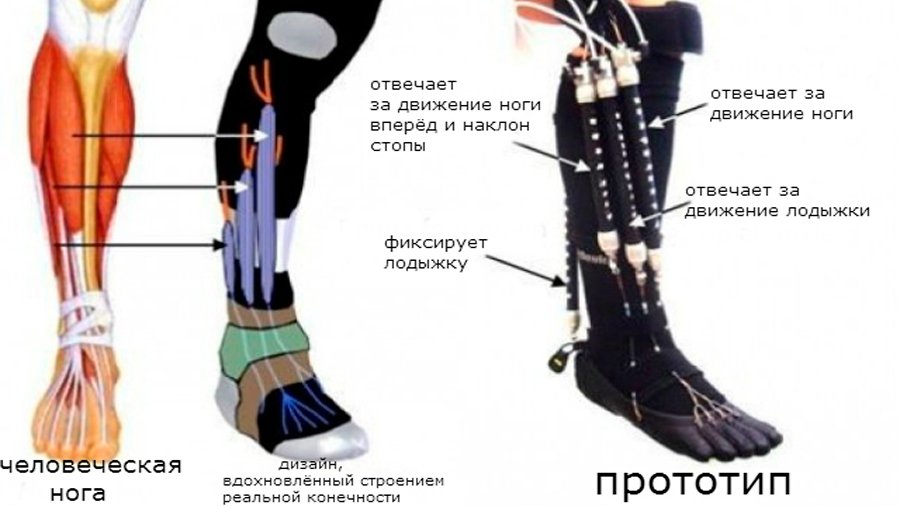 Мягкий экзоскелет поможет больным с параличом конечностей - Наука и здоровье