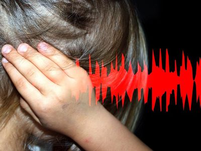 Предлагается увеличить штрафы за крики, свист, громкое пение или игру - Литва и страны Балтии