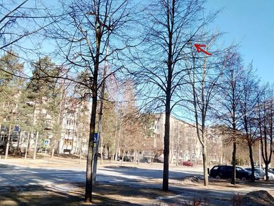 Горячая линия ТТС. По ул. Статибининку ходить небезопасно - В Висагинасе