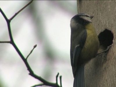 Savaitgalis bus nešaltas, bet vėjuotas - Lietuva ir Baltijos šalys
