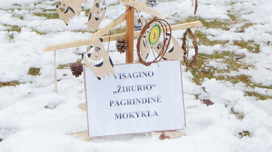 Школа "Žiburio" - Конкурсы для читателей