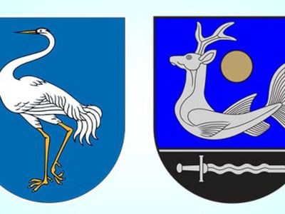 В Зарасайско-Висагинском округе баллотируются 12 кандидатов

 - В Висагинасе