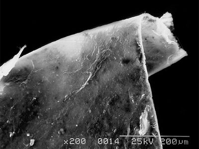 Нанотрубки потеснят привычные акустические системы - Наука и здоровье