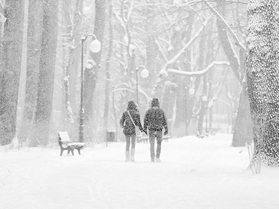 Правительство одобрило ужесточение карантинного режима - Литва и страны Балтии