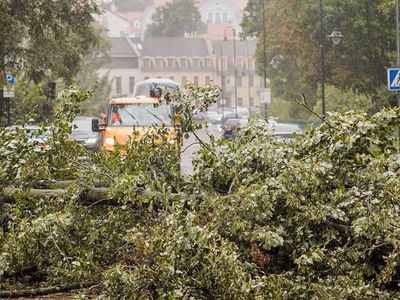 Шторм оставил без электричества около 300 тысяч пользователей в Литве - Литва и страны Балтии