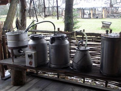 Консерваторы идут штурмом на самогон: от штрафов до 7 лет тюрьмы - Литва и страны Балтии