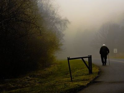 Старики могут устроить мировую катастрофу
                                                                 - В Мире