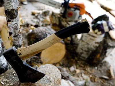 Премьер: не надо думать, что мы станем вырубать весь лес и обогреваться - Литва и страны Балтии