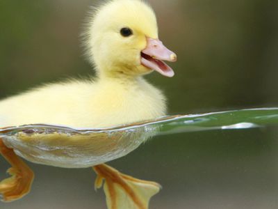 Вода в латвийских реках прогрелась до +24 градусов - Хобби, отдых и развлечения