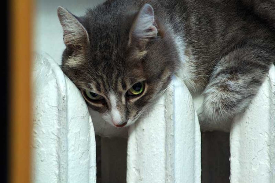 Плата за отопление для некоторых жителей Литвы больше их зарплат - Литва и страны Балтии