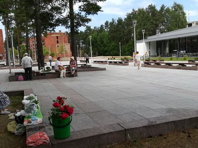 Горячая линия. Кто проверяет уличных торговцев? - В Висагинасе