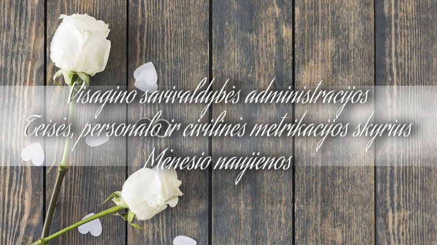 Статистика загса за май - В Висагинасе