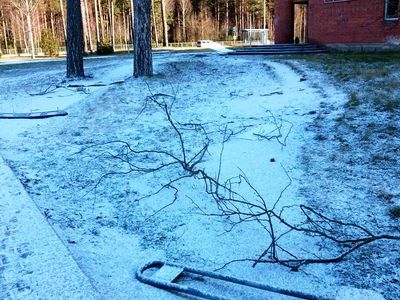 Директор администрации – об актуальных для жителей вопросах (видео) - В Висагинасе