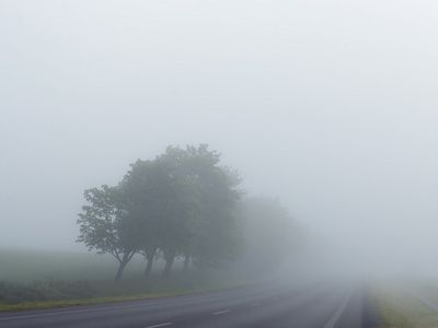 Погода в конце мая не порадует: прогнозируют частые дожди - Литва и страны Балтии