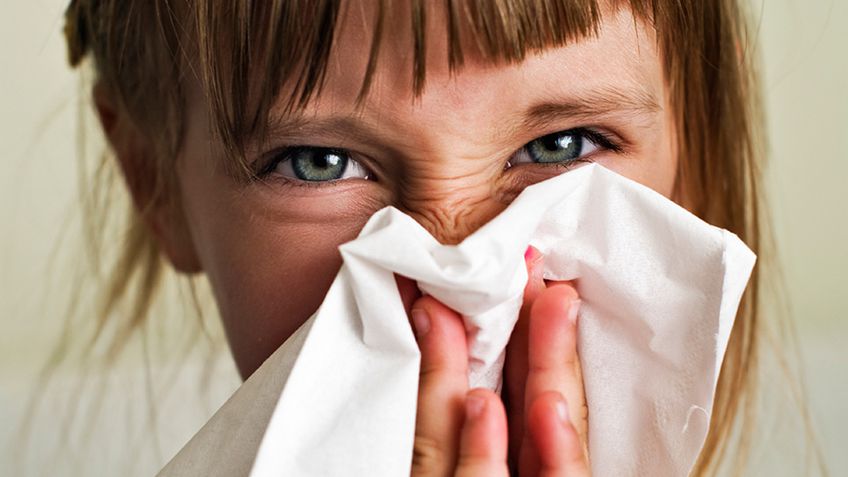 10 фактов об аллергии