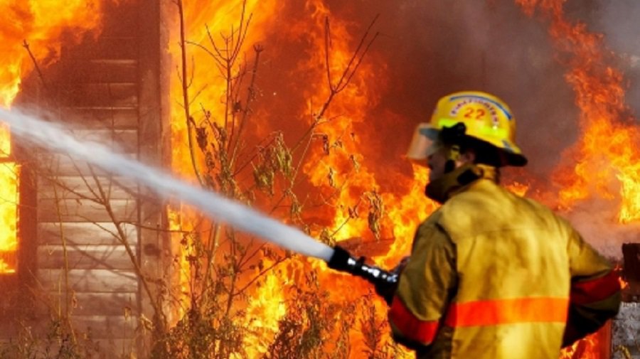 NYT: в США в поджоге обвинили добровольцев, занимавшихся тушением лесных пожаров - В Мире